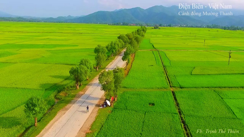 C&aacute;nh đồng Mường Thanh - Điện Bi&ecirc;n Phủ