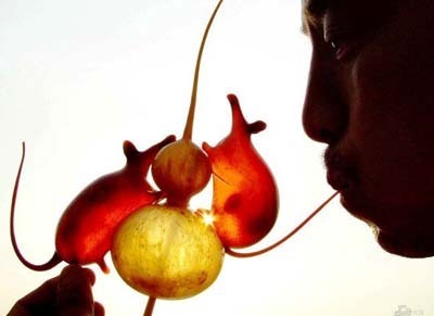 đồ chơi bằng đường5