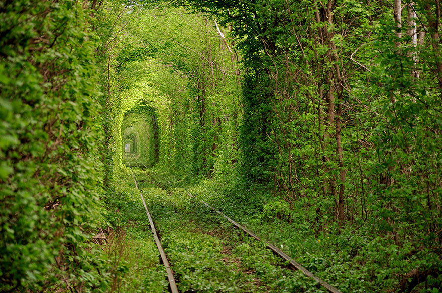 Đường hầm tình yêu nổi tiếng của Ukraine có màu xanh xinh đẹp vào mùa xuân và hạ.