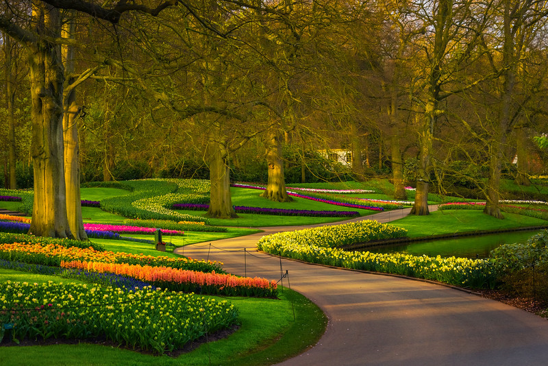 Công viên Keukenhof ở Hà Lan là một kỳ quan đang để bạn chiêm ngưỡng vào mùa xuân.