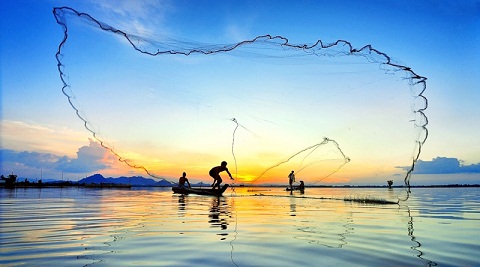 Hình ảnh giăng lưới đánh bắt cá điểm nhấn miền Tây