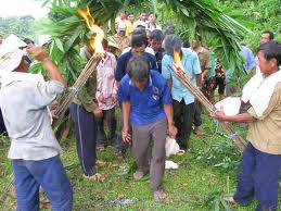 dan toc H&ecirc; r&ecirc;