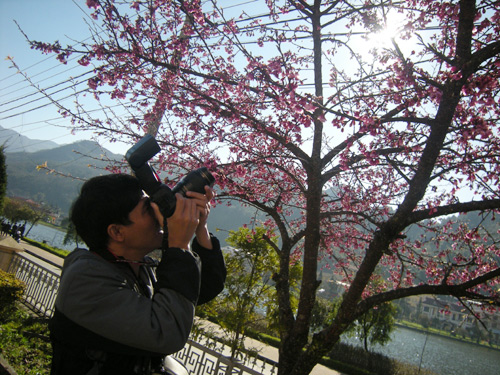 Hoa anh đ&agrave;o rợp sắc giữa bầu trời Sapa