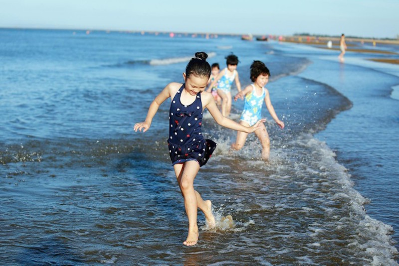 hoa nở tr&ecirc;n c&aacute;t ở Cửa L&ograve; 