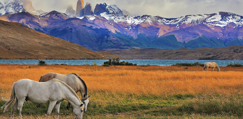 Vùng Patagonia, Chile