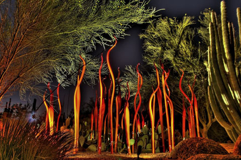 Vườn bách thảo Desert