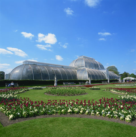 Vườn Kew
