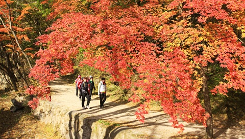 Công viên quốc gia Naejangsan