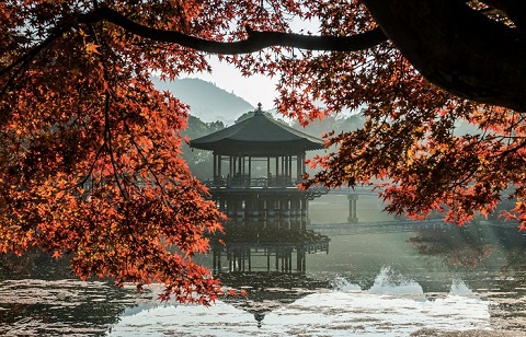Mùa thu lá đỏ ở Kansai