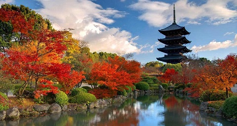 Thủ đô đầu tiên của Nhật Bản - Nara