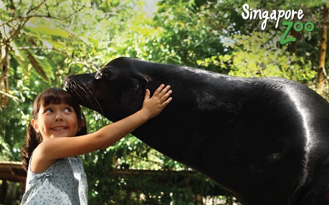 Vườn thú Singapore