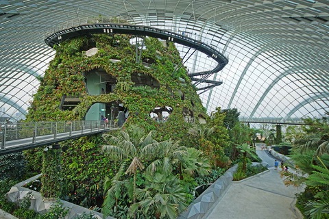 Khu nhà kính của Garden by the Bay
