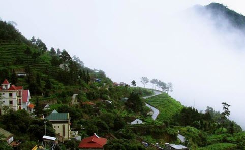 Du lịch Tam Đảo, du khách có thể cảm nhận trọn vẹn 4 mùa trong cùng một ngày