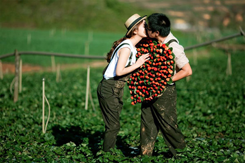 trăng mặt tại Đà Lạt