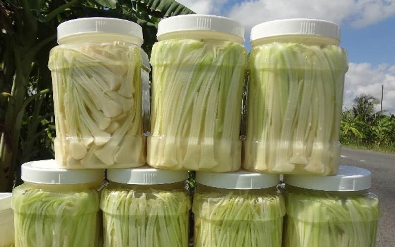 Dưa bồn bồn rất nổi tiếng ở Cà Mau