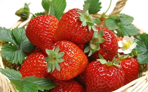 Guests enjoyed being hand selected and picked red ripe strawberry