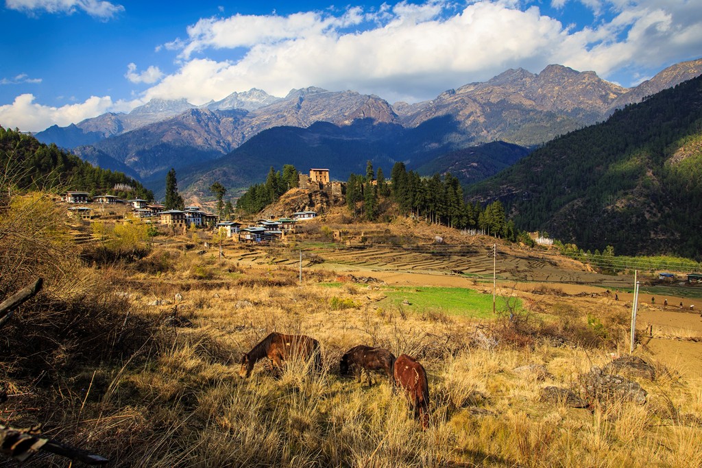 Những khoảnh khắc tuyệt đẹp ở xứ sở cổ tích Bhutan