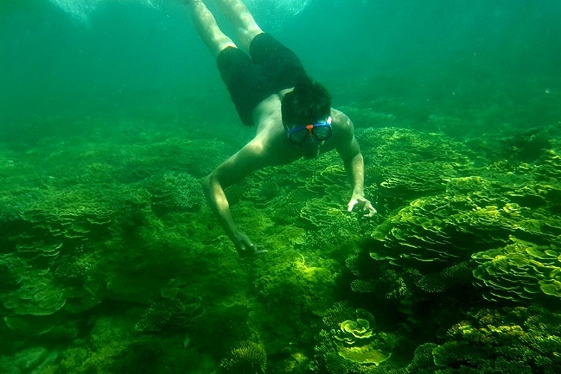 Trải nghiệm lặn ngắm san hô ở Gành Yến