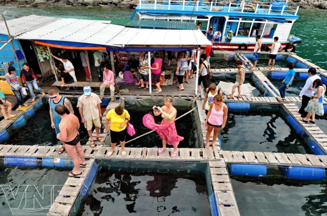 lang%20chai - Đến Làng Chài Nha Trang thưởng thức hải sản tươi sống