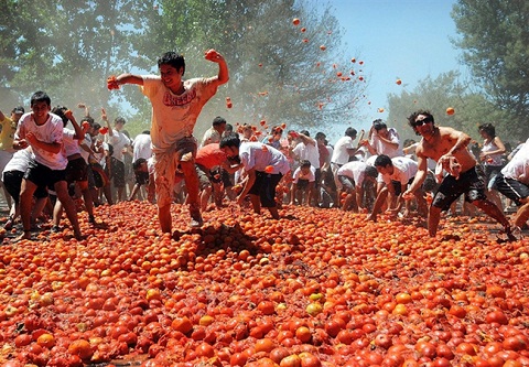 Lễ hội ném cà chua