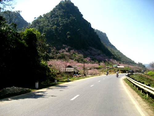 phượt Mộc Châu2