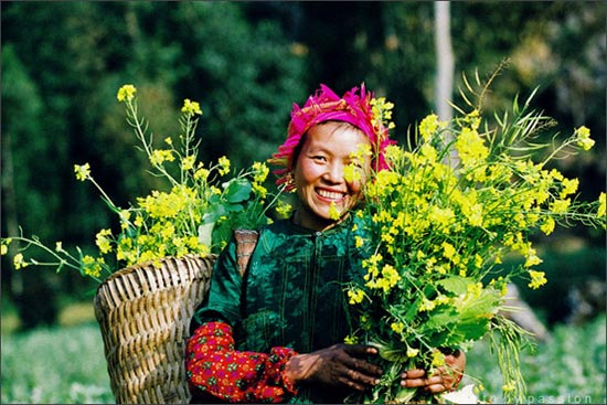 Đi đ&acirc;u du xu&acirc;n dịp Tết &acirc;m lịch?