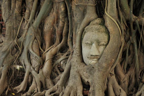 Đi đ&acirc;u du xu&acirc;n dịp Tết &acirc;m lịch?