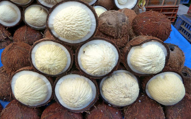 Mộng dừa là đặc sản có giá trị dinh dưỡng cao
