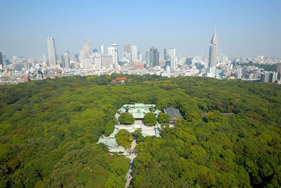 Đền Meiji Jingu được bao quanh bởi rừng cây xanh giữa thủ đô Tokyo