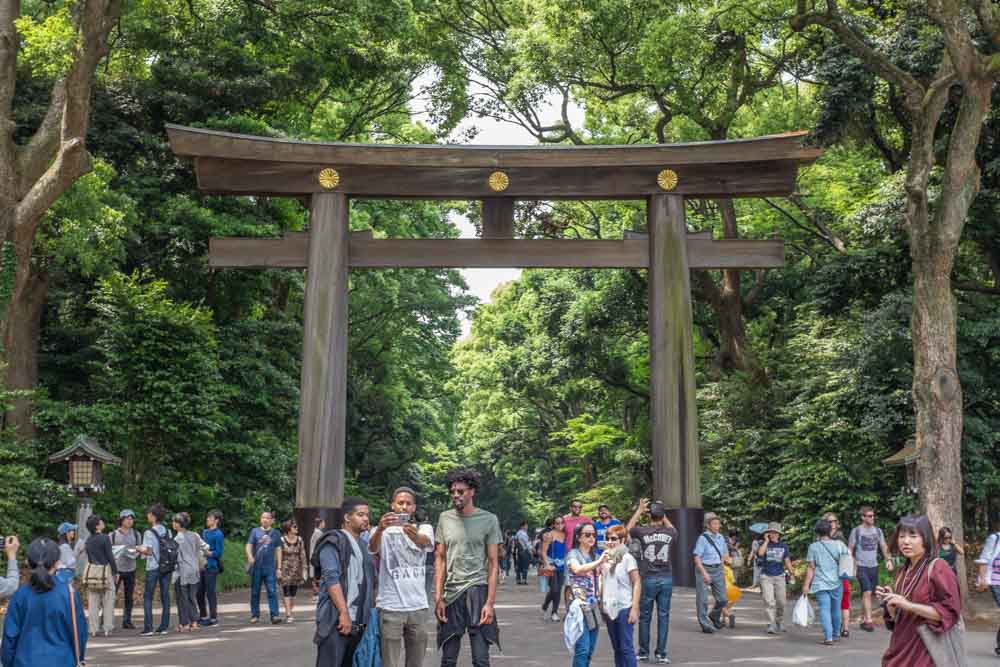 Cổng Torii đền Meiji Jingu - ngôi đền đặc biệt giữa lòng thủ đô Tokyo