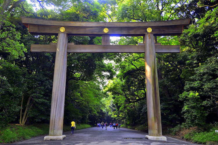 Cổng Torii của ngôi đền đặc biệt giữa lòng thủ đô Tokyo