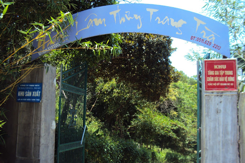Nhất Lâm Thủy Trang Trà là khu tập trung bảo vệ rừng của Đà Nẵng