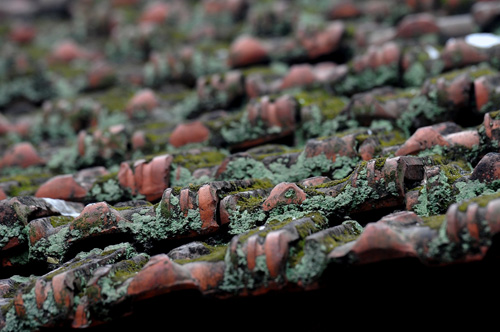 Thụy Khu&ecirc; - con phố c&oacute; nhiều cổng l&agrave;ng nhất H&agrave; Nội