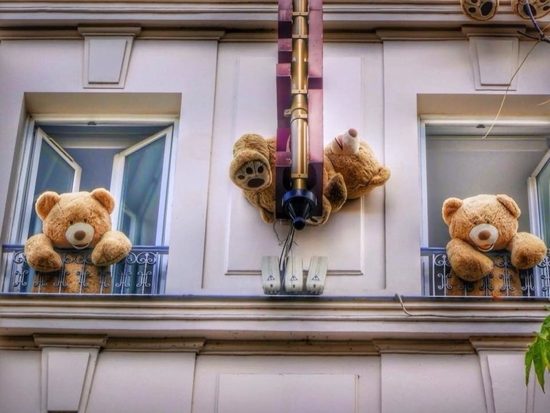 lễ hội gấu teddy