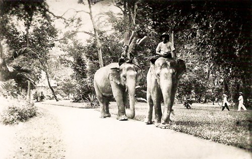 Phố xưa S&agrave;i G&ograve;n trong mắt người nước ngo&agrave;i