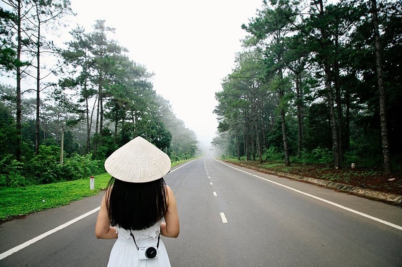 Thả mình vào những cánh rừng nguyên sinh, cảm nhận đời nhẹ tênh