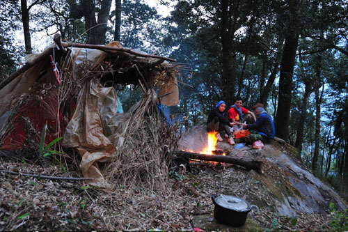 Cắm trại trong rừng sâu