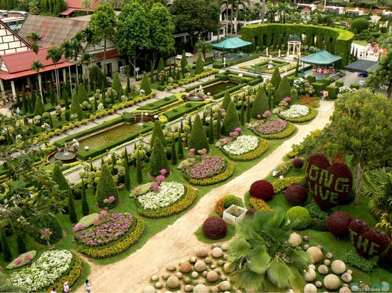 thai