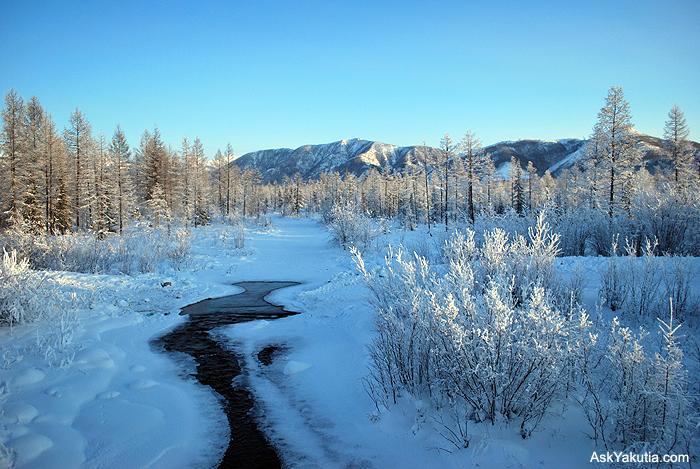  Một người đ&agrave;n &ocirc;ng Sakha v&agrave;o rừng săn bắn