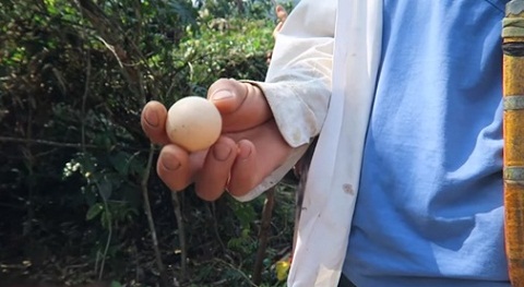 Trứng n&eacute;m kh&ocirc;ng vỡ l&agrave; một yếu tố t&acirc;m linh huyền b&iacute; của b&agrave; con T&acirc;y Bắc