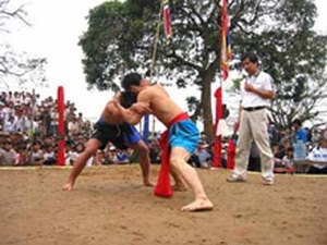 Đ&ocirc;ng đảo du kh&aacute;ch tham dự lễ hội vật l&agrave;ng S&igrave;nh 