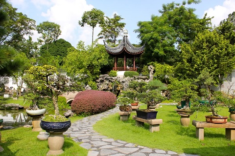 Kết quả hình ảnh cho vườn bonsai đẹp