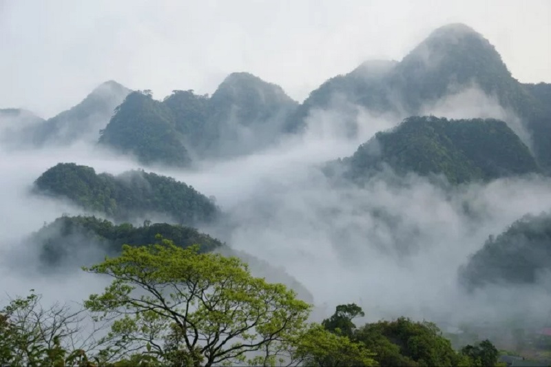 Hóa “Hàm Hương” ngay tại vườn quốc gia Cúc Phương