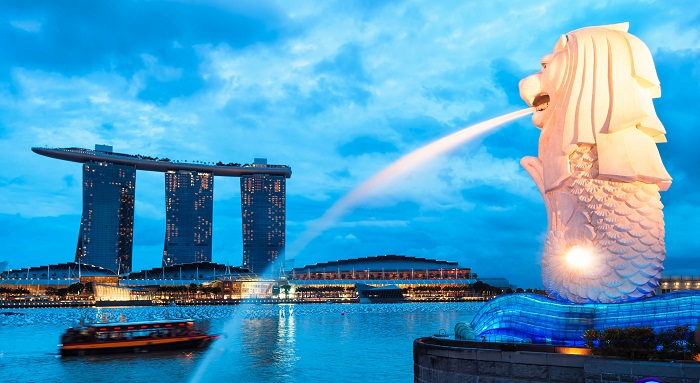 Công viên sư tử biển