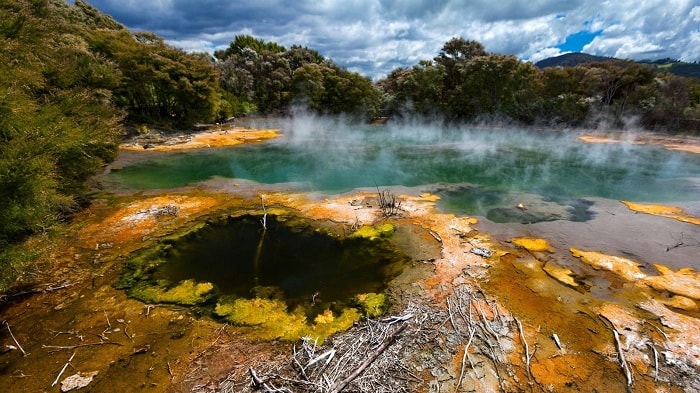 New Zealand
