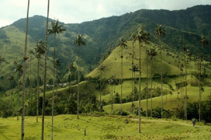 Du lịch Colombia Du lịch Colombia