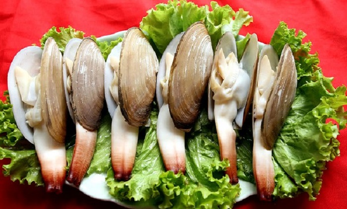 Ốc vòi voi