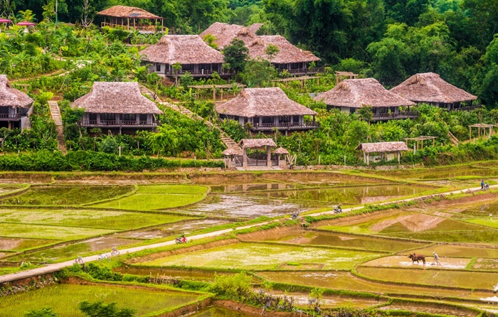 Du lịch Bản Lác Mai Châu ngay và luôn với kinh nghiệm này