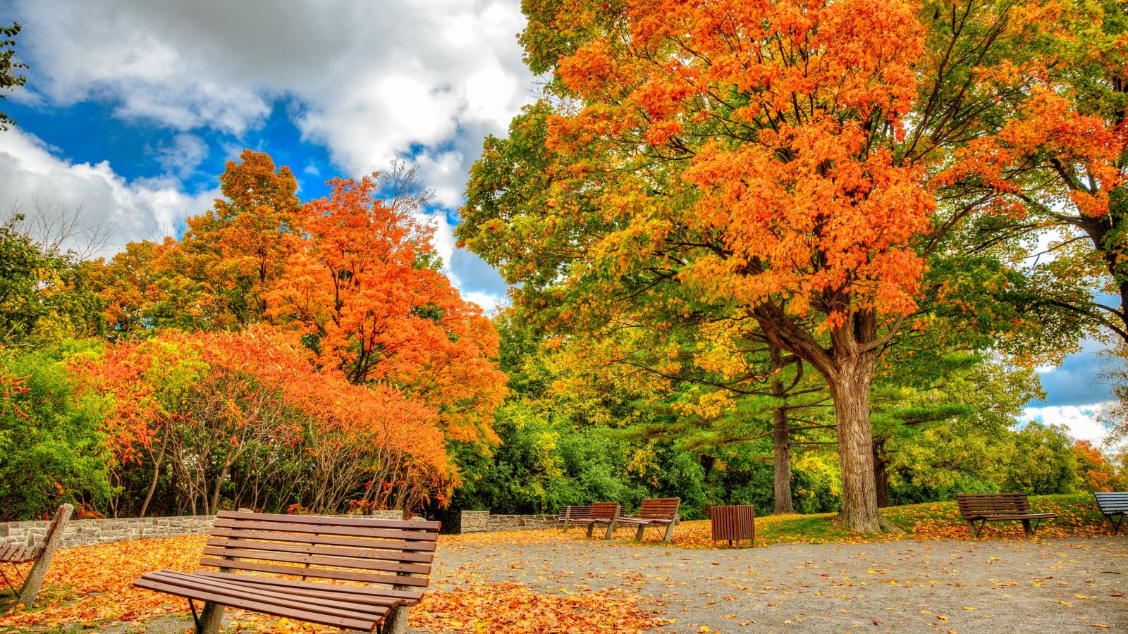 Đừng bỏ lỡ du lịch mùa thu Canada – mùa đẹp nhất trong năm