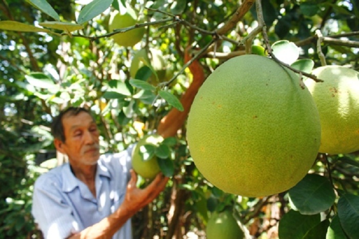 đặc sản Huế